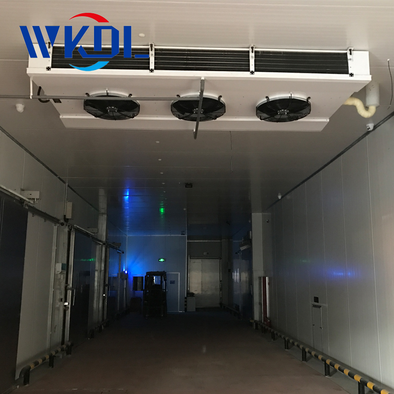 Used for beverage factory cold storage double outlet ceiling air cooler