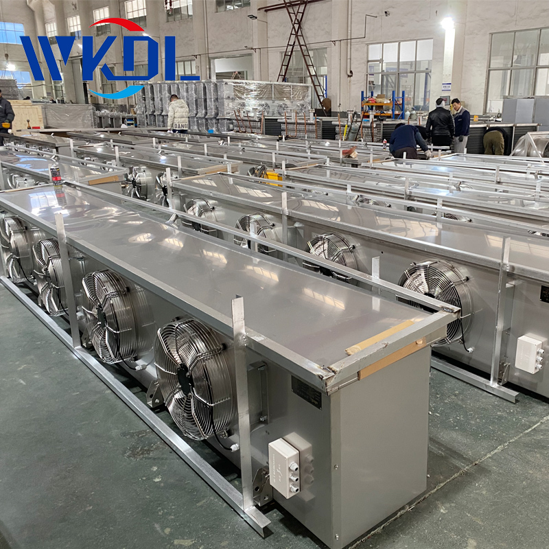 Manufacturer's direct sales ceiling type double outlet air cooler fruit and vegetable preservation warehouse